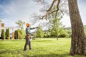 Professional Tree Removal and Landscaping Services in Mountain Lodge Park, NY